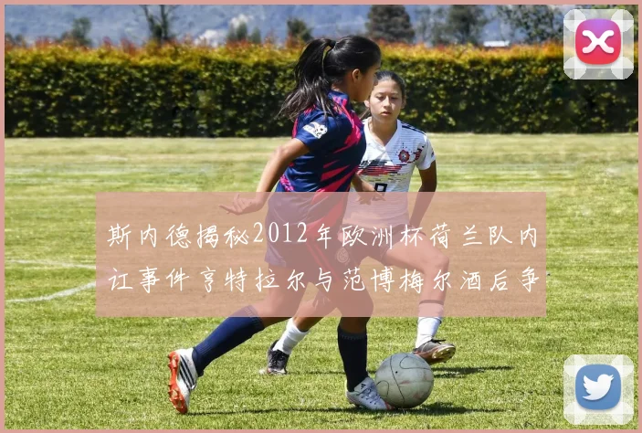 斯内德揭秘2012年欧洲杯荷兰队内讧事件亨特拉尔与范博梅尔酒后争执内幕